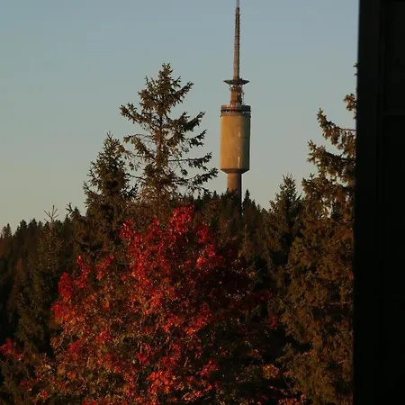 מלון Lysebu אוסלו