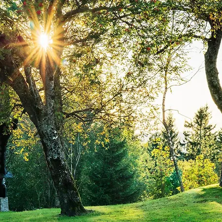 מלון Lysebu אוסלו